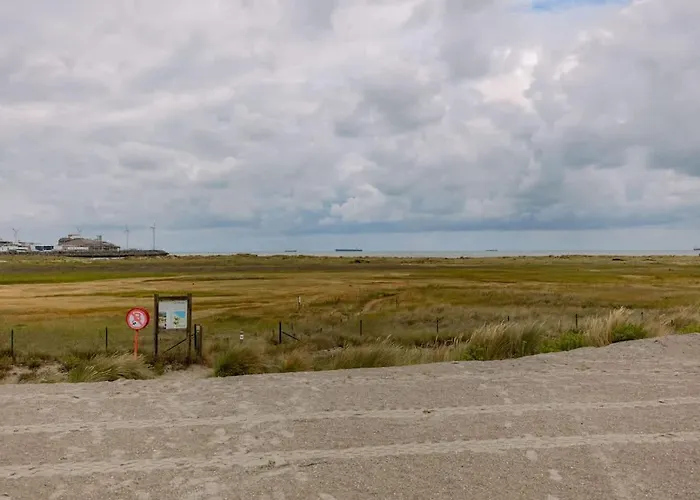 Sea Views - Beachfront - In The Heart Of *