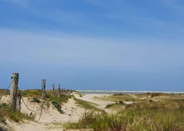 Sea Views - Beachfront - In The Heart Of Appartement Knokke-Heist